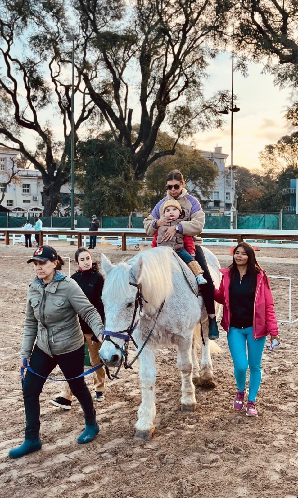 Equinoterapia